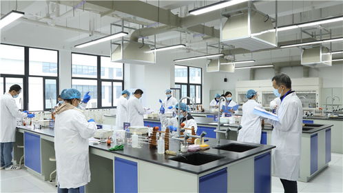 強(qiáng)化技能比拼主陣地 筑牢質(zhì)量安全防線——瀘江首屆檢驗(yàn)檢測機(jī)構(gòu)檢驗(yàn)?zāi)芰Ρ葘Ρ任湓谒拇ɑぢ殬I(yè)技術(shù)學(xué)院舉辦