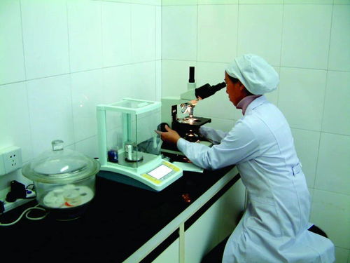加速轉(zhuǎn)化謀新篇 北大荒集團(tuán)以生物化工技術(shù)重塑市場競爭力